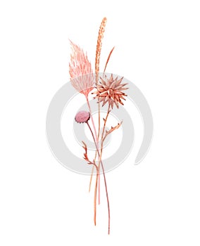 Beautiful bouquet composition with watercolor herbarium wild dried grass in pink and yellow colors. Stock illustration. photo