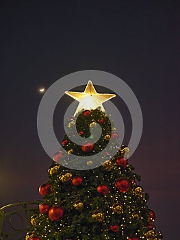 Beautiful conner lighting decoration Christmas tree