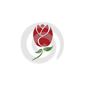 Beautiful Contour Logo with Rose Flower for Boutique or Beauty Salon or Flowers Company