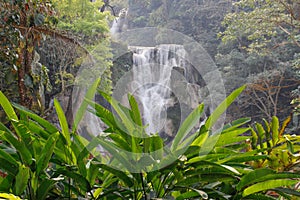 Beautiful and cool azure-colored Kuang Si waterfall near Luang Prabang