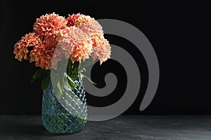Beautiful coral dahlia flowers in vase on table against black background. Space for text