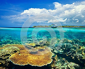 Beautiful Coral reef on background Gili Meno Island