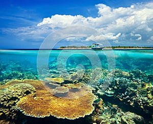 Beautiful Coral reef on background Gili Meno Island photo