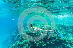 Beautiful coral reef with young freediver woman, underwater life. Copyspace for text