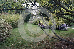 Beautiful corner in a botanical garden