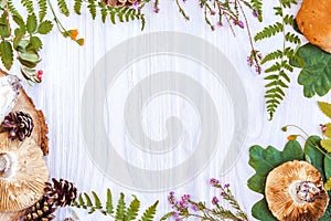 Beautiful corner frame of natural materials, mushroom, cones, herbs, berries. Autumn white wooden background