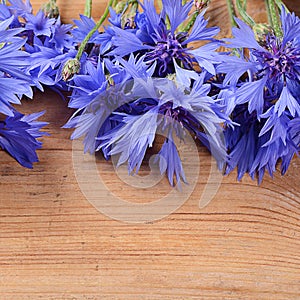 The beautiful cornflower on wooden background