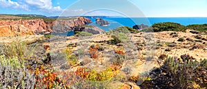 Beautiful costa vicentina with colorful vegetation, Carrapateira west algarve photo
