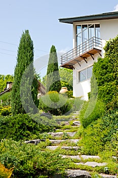 A beautiful country house overgrown with decorative ivy with a lawn and a path