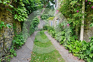 Beautiful Country Lane