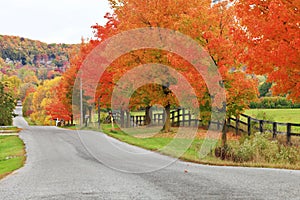 Beautiful country road in autumn foliage