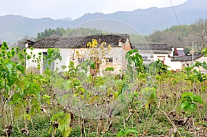 The beautiful countryside China