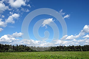 Beautiful rural countryside landscape with green field, mixed forest and white clouds on blue sky on summer day