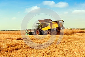 Beautiful countryside landscape .Combine harvester on a wheat field