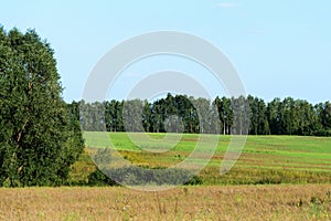 Beautiful countryside landscape - field, sky, trees