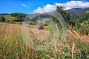 Beautiful countryside landscape with forested hills and haystacks on a grassy rural field in mountains