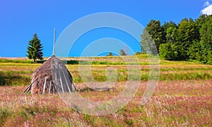 Beautiful countryside landscape with forested hills and haystacks on a grassy rural field in mountains