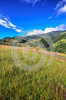 Beautiful countryside landscape with forested hills and haystacks on a grassy rural field in mountains