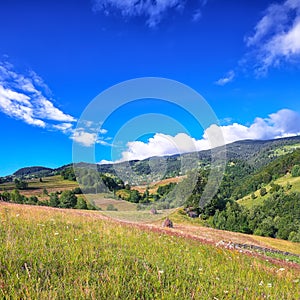 Beautiful countryside landscape with forested hills and haystacks on a grassy rural field in mountains