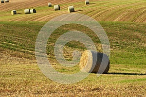 Beautiful countryside landscape near Siena in Tuscany, Italy. Round straw bales hay balls in harvested fields and blue sky.