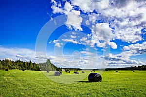 Beautiful countryside landscape. Round straw bales in black plastic in green field