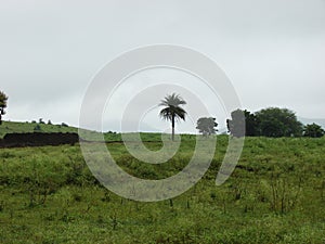 Beautiful Countryside Landscape in Rural India