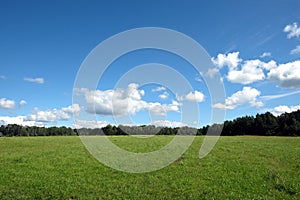 Beautiful countryside landscape with wide green field and deciduous forest at far under white clouds on blue sky in the summer day