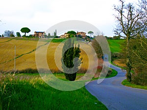 BEAUTIFUL COUNTRYSIDE OF SIENA ITALY