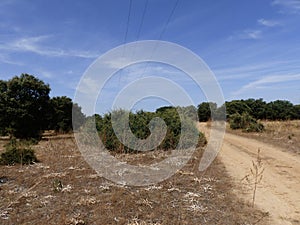 BEAUTIFUL COUNTRYSIDE VIEW IN SUMMER