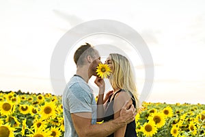Beautiful couple having fun in sunflowers fields
