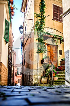 Beautiful courtyard of one of the streets of the city of Nemi. The surroundings of Rome. Italy.