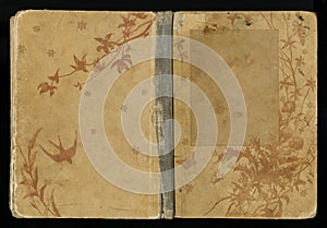 Beautiful cover of a vintage book with floral frame an blank label for your text.