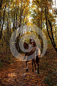 Beautiful cowgirl bareback ride her horse in autumn forest at sunset