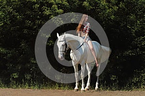 Beautiful cowgirl bareback ride her horse in forest glade at sunset