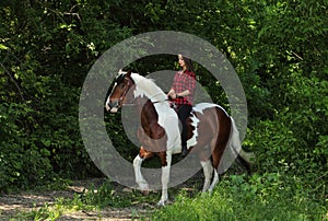 Beautiful cowgirl bareback ride her horse in woods glade