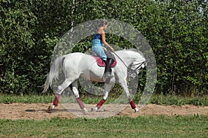 Beautiful cowgirl ride her horse in woods glade