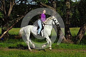 Beautiful cowgirl ride her horse in woods glade