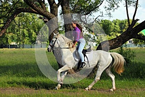Beautiful cowgirl ride her horse in woods glade