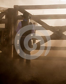 Beautiful Cowgirl in Western Scene