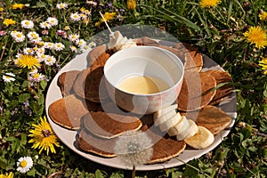 Beautiful cozy summer or spring picnic with pancakes, honey and banana