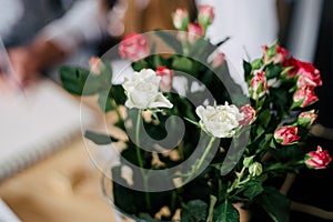 Beautiful cream and pink roses in vase