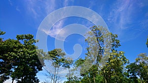 beautiful creations of GOD