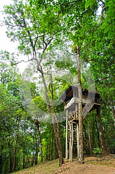 Beautiful creative handmade tree house