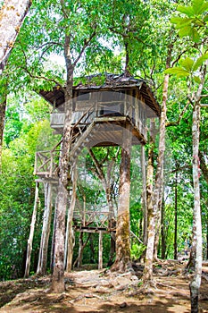 Beautiful creative handmade tree house