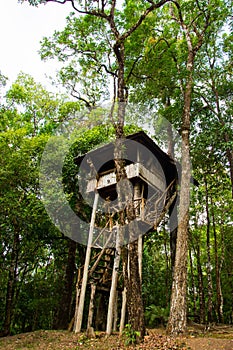 Beautiful creative handmade tree house