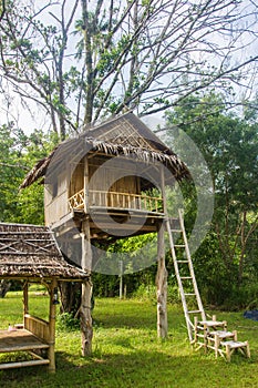 Beautiful creative handmade tree house