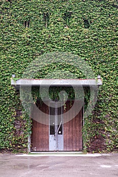 Beautiful creative handmade tree of the house of the house