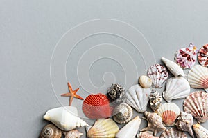 Beautiful creative nautical summer background. Sea shells of different shapes and colors on gray stone
