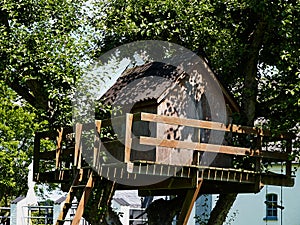 Beautiful creative tree house
