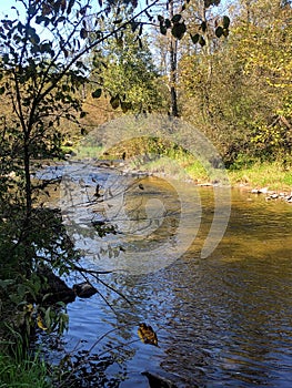 Beautiful creek in Wisconsin during early fall season